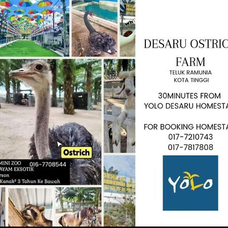 Desaru Homestay-Eva Villa Pool Homestay By Yolo Resort Bandar Penawar Dış mekan fotoğraf